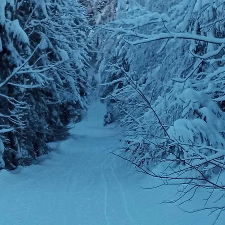아파트 Landhaus Vogel *
