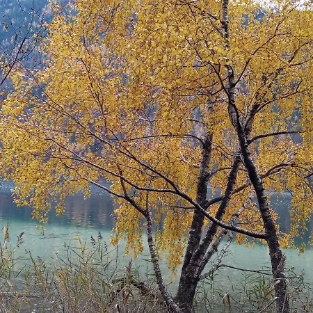 Landhaus Vogel * Weissensee