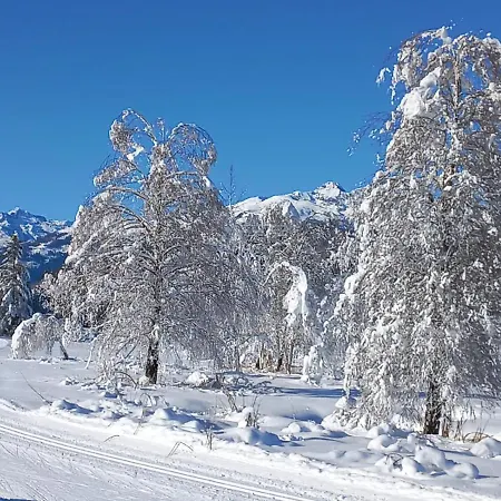Landhaus Vogel Apartmán *