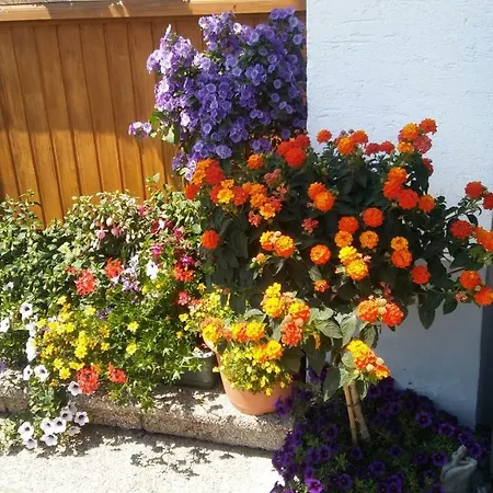 Landhaus Vogel 아파트 *