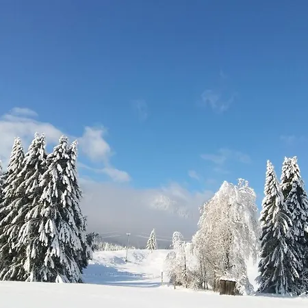 Landhaus Vogel Weissensee