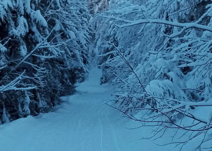 Apartment Landhaus Vogel *