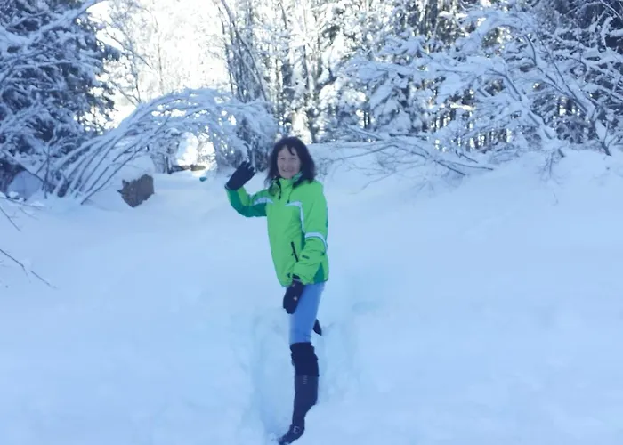 Landhaus Vogel Apartment