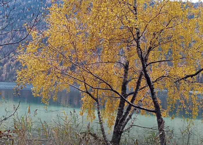 Landhaus Vogel * Weissensee