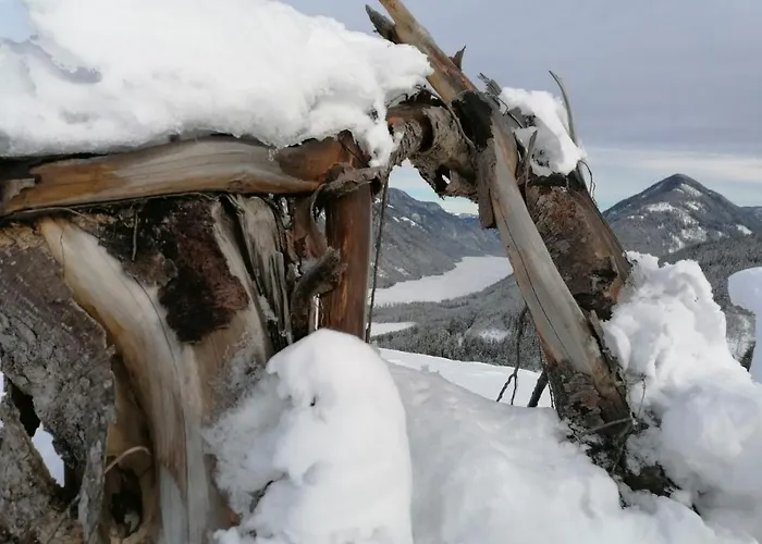 Landhaus Vogel Apartment *