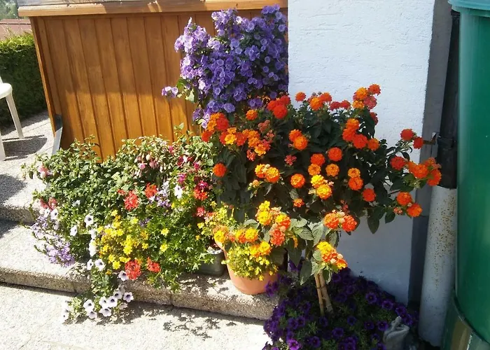 Landhaus Vogel Apartment *