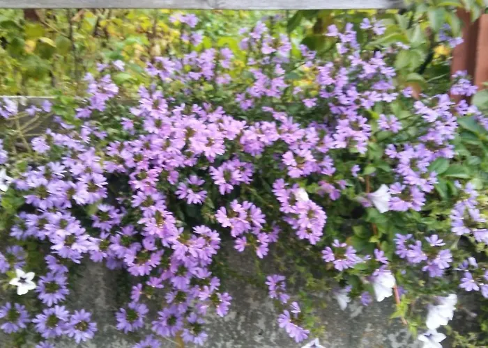 Landhaus Vogel * Weissensee