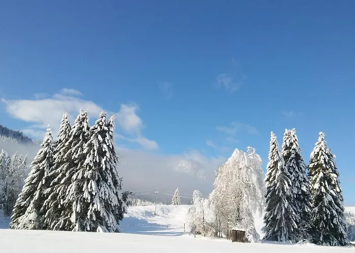 Landhaus Vogel Weissensee